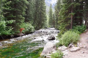 A stream bordered by evergreen trees