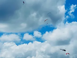 Paragliders and dragonfly against the sky