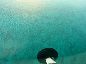 Reef in a turquoise sea from above