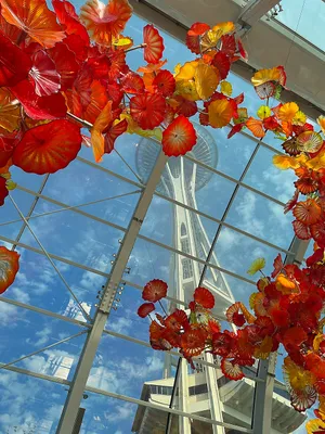 Ring of red Chihuly glass flowers below the Space Needle