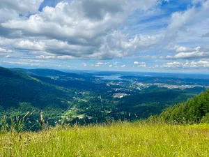 Lush green valley