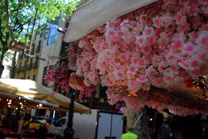 Pink flowers under a canopy