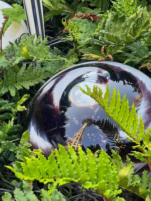 The Space Needle reflected in a black glass garden sphere