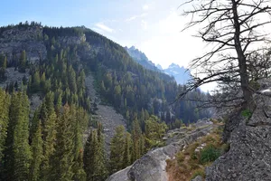 Bare tree and mountainside