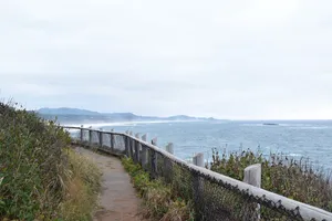 Path along the shore