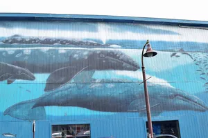 Mural of two whales