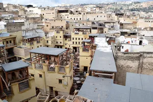 Tannery in the Fez medina