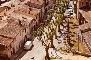 Tree lined street from above