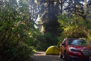 Car and tent in the forest