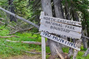 Wooden sign forbidding hunting breaking apart