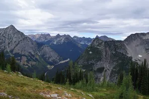 Forest and mountain peaks