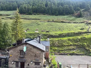 Stone building restaurant below grazing cows and evergreen forest