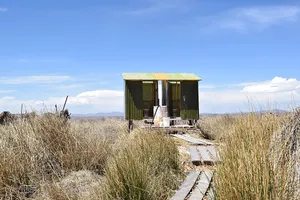 Shed among yellow grass