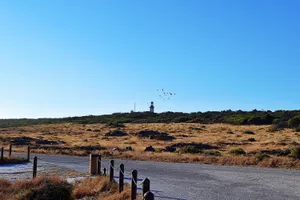 A distant lighthouse and a flock of birds