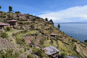 Houses on terraced green land above water