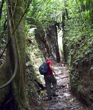 A man turning back, walking through a ravine