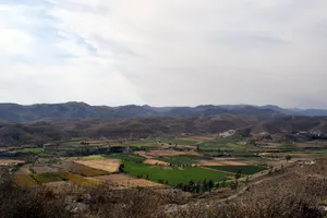 Landscape of farmland and distant brown hills