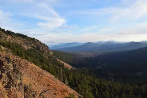 Trees and hill layers