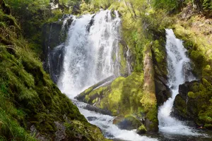 Waterfall and mossy rocks