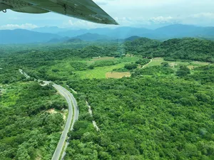 Lush greenery and hills seen from a plane