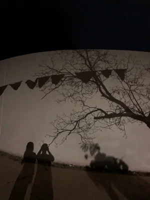 Shadows of people and tree against a wall at night