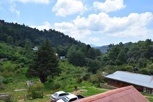 Forrested valley of San Jose Del Pacifico