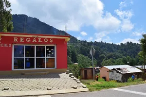 Red regalos shop above forrest