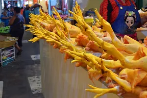 Array of chicken feet poking out at a mercado